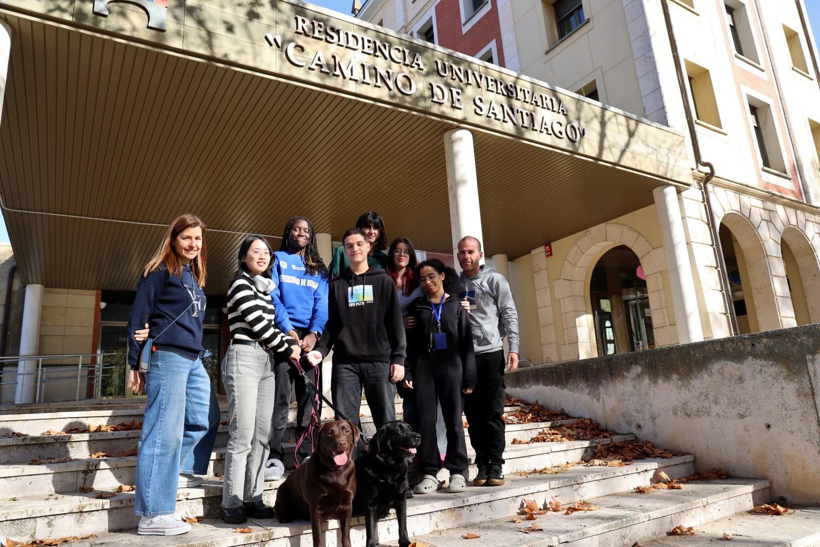 ​Lucca y Dina: las Labradoras que Transforman la Vida Universitaria en Burgos