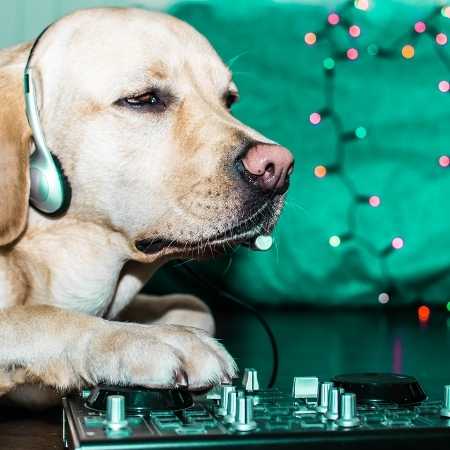 A los perros les gusta la música