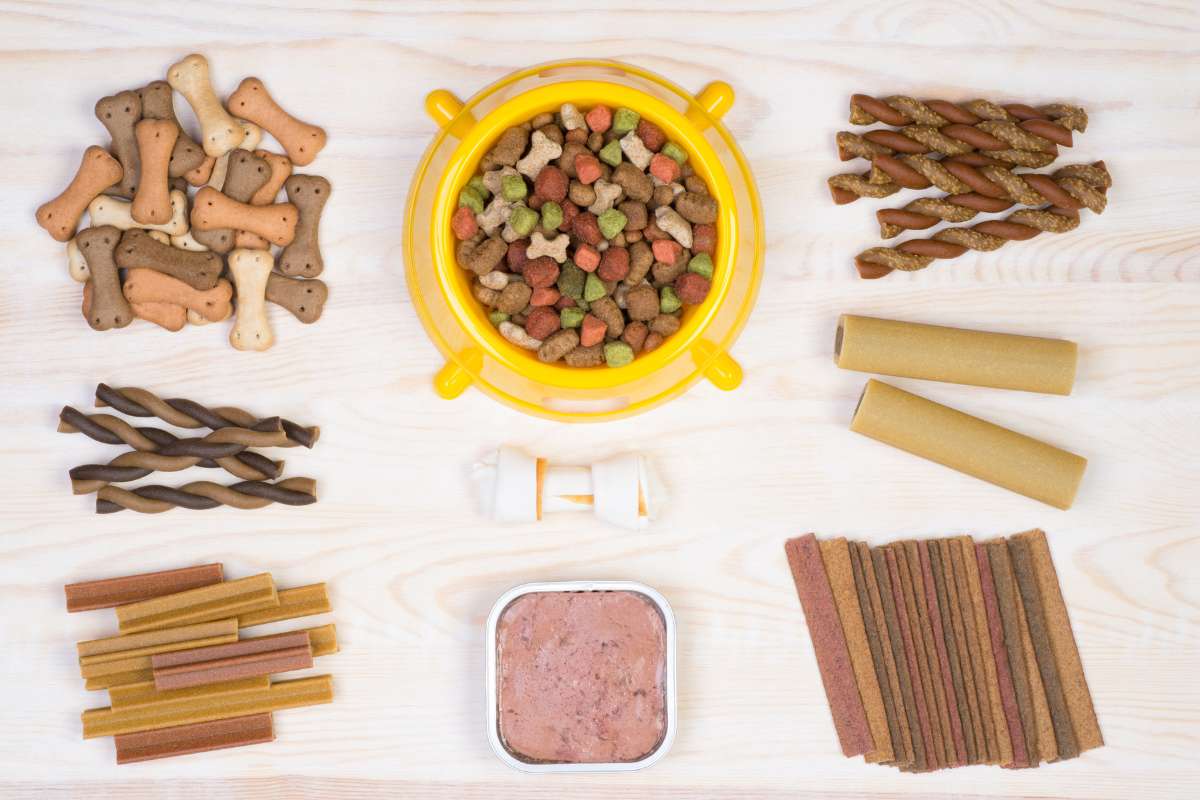 Alimentos para perros con glucosamina y condroitina