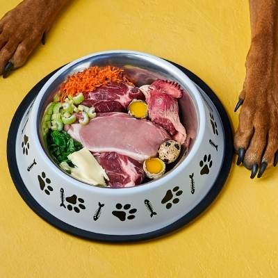 beneficios para la salud en la comida cruda para perros