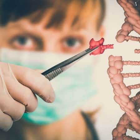 Beneficios de las pruebas de salud para los labradores