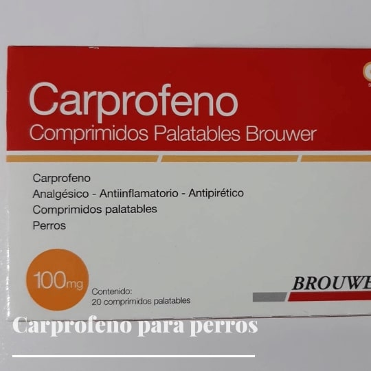 Carprofeno para perros - Qué es, funcionamiento, dosis y efectos secundarios.
