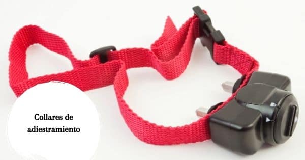 Collares de adiestramiento