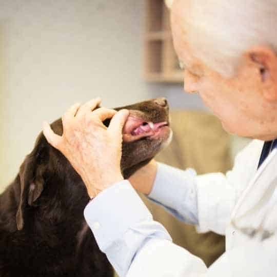 Controles sanitarios