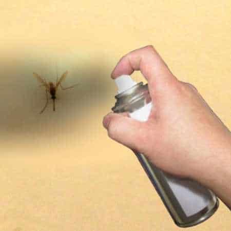 Cómo prevenir las picaduras de mosquitos en los perros