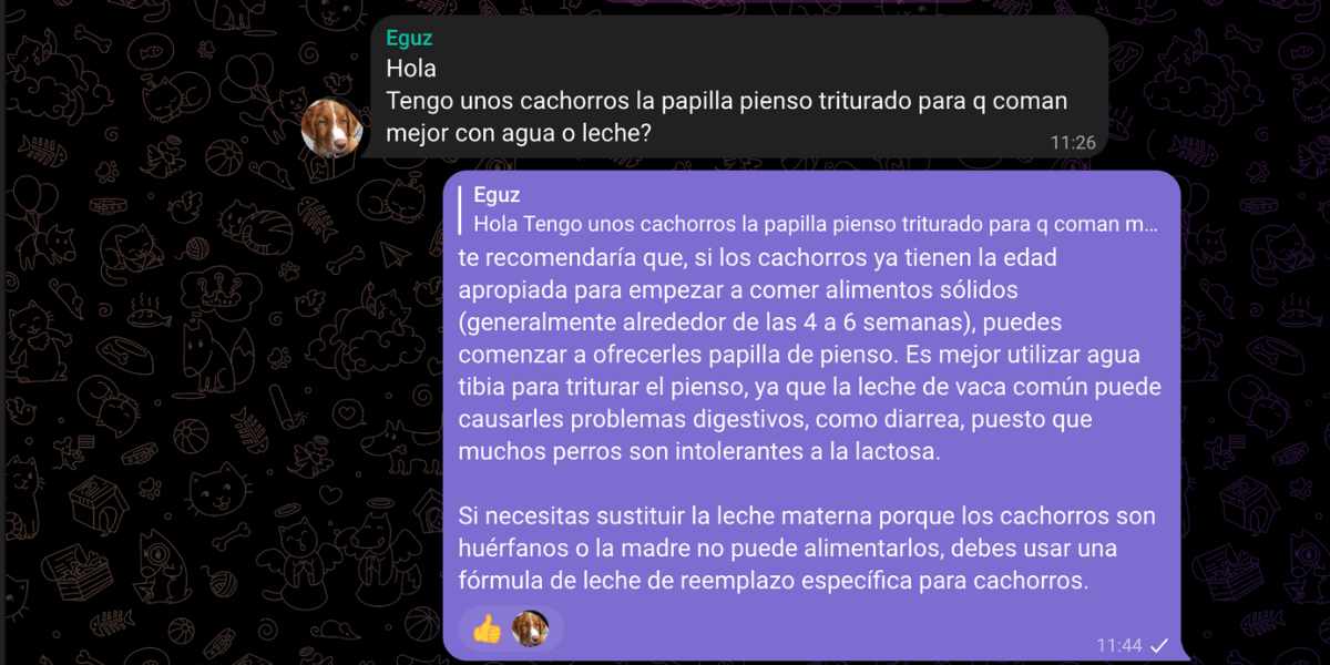 El destete del cachorro: ¿Debe mezclar las croquetas con agua o leche?