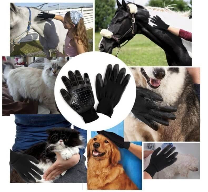 Guantes para Perros