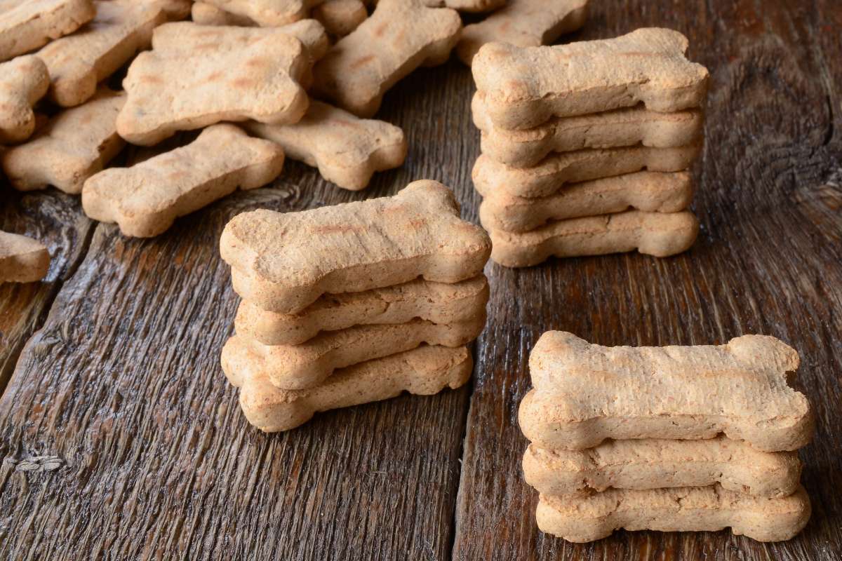 Huesos de leche para perros