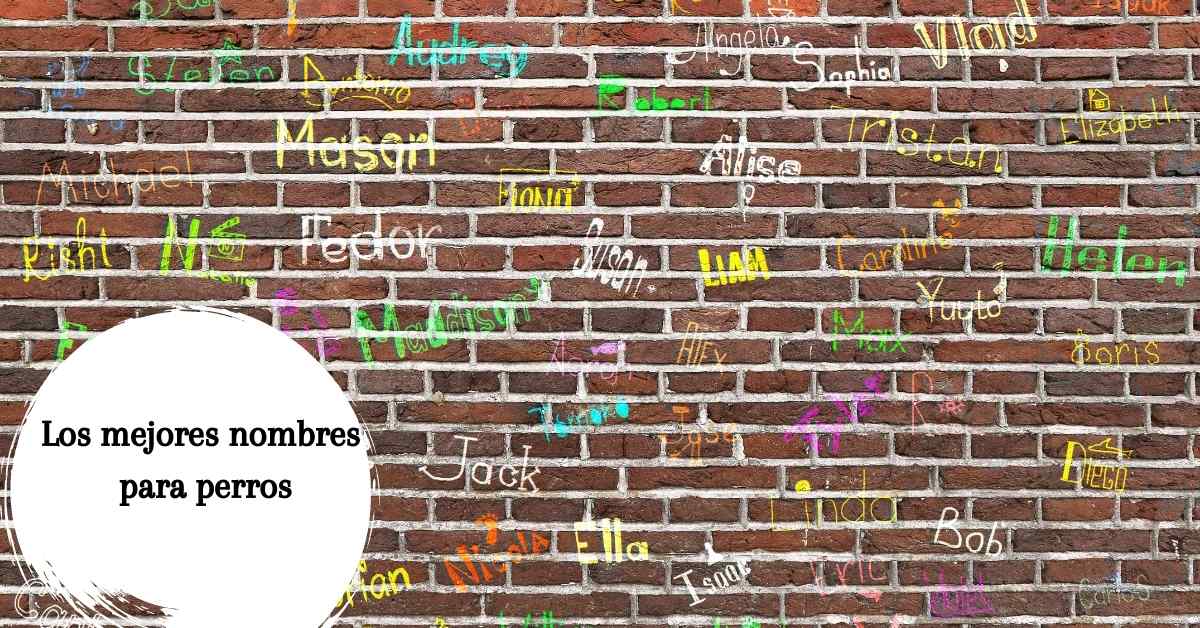 Ideas de nombres para perros