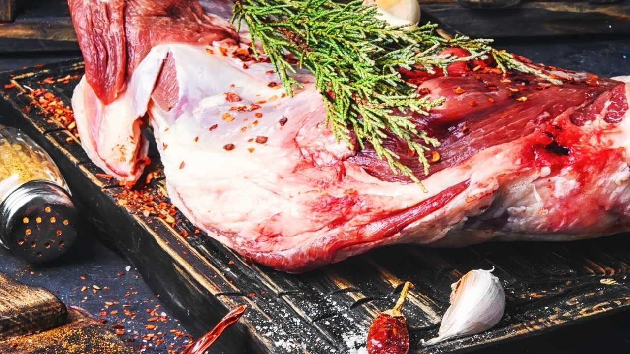 ¿Los perros pueden comer huesos de cordero?