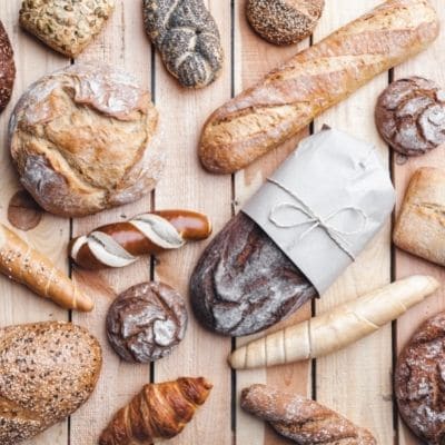 ¿Los perros pueden comer pan o es peligroso?