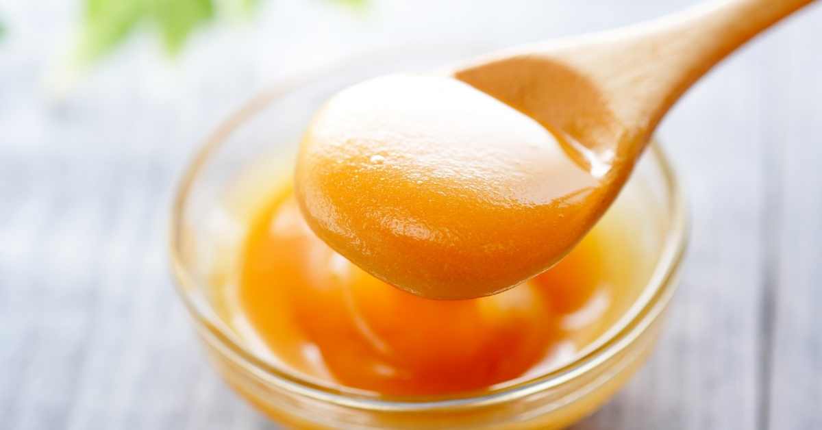 Miel de Manuka para perros ¿cura milagrosa?