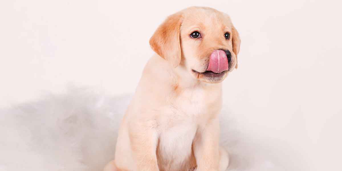 Riesgos en el dormitorio