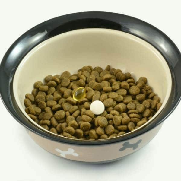 Suplementos para perros: todo lo que necesitas saber.