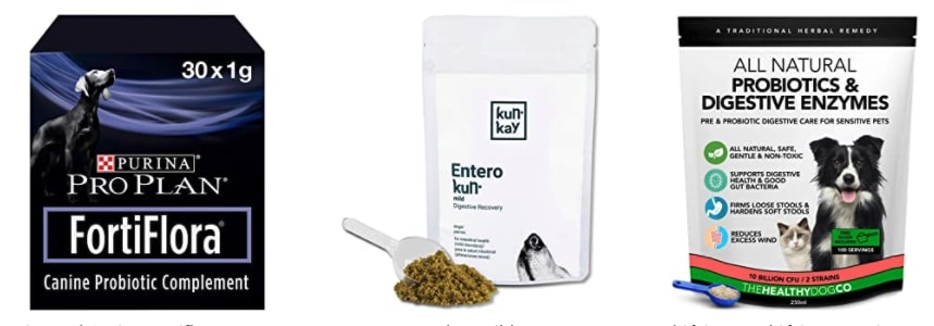 Suplementos probióticos