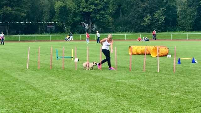 Titulaciones y experiencia