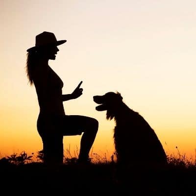 Ventajas y Desventajas