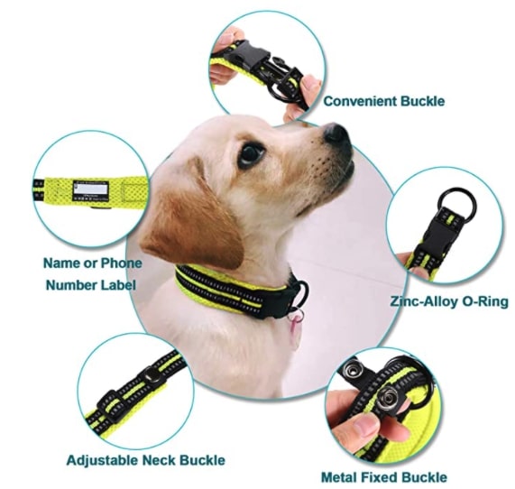 collares impermeables