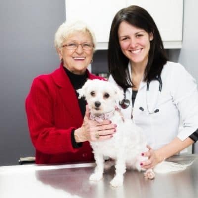 dosis de Enacard para perros