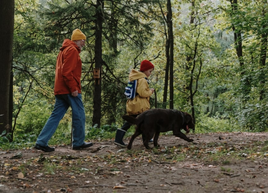 adiestramiento para ladrar