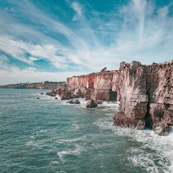 esparcir las cenizas de tu mascota en el mar
