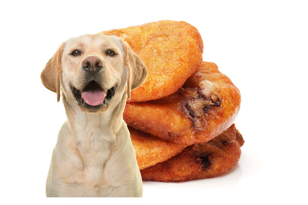 Deliciosas galletas de pollo y arroz para perros