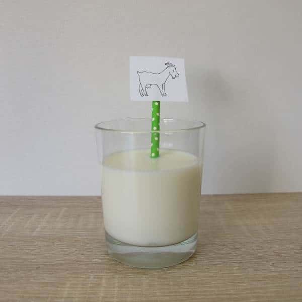 ¿Los perros pueden beber leche de cabra?