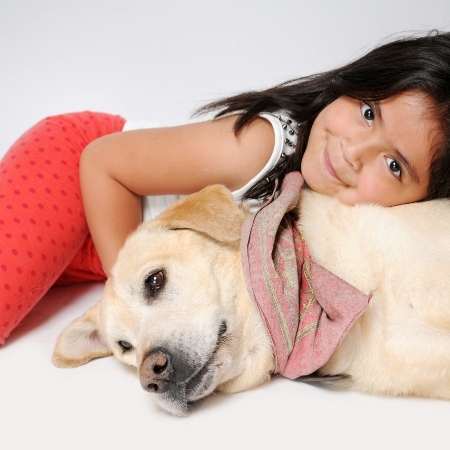 Cómo sabes si un perro te quiere