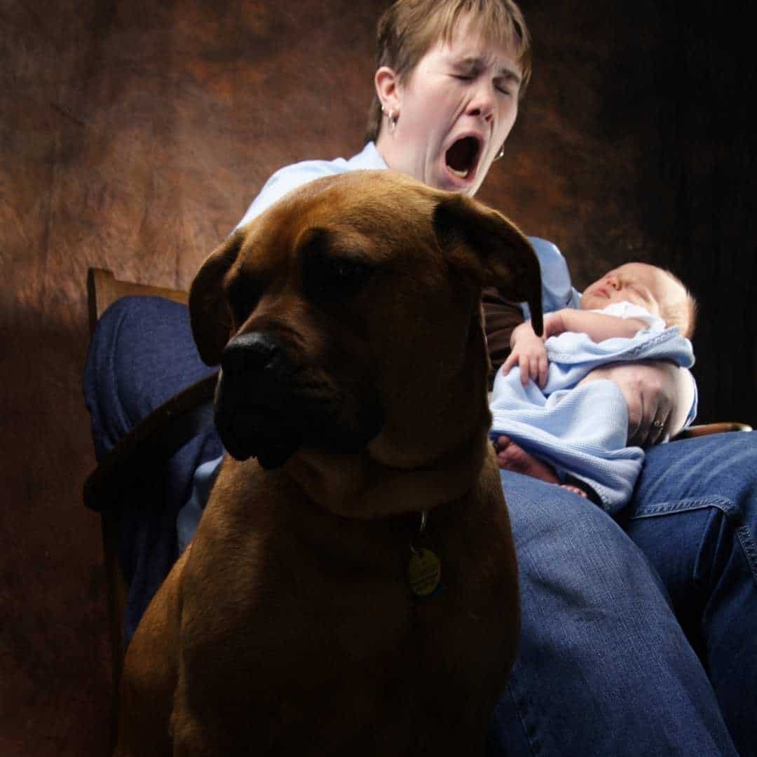 ¿Por qué huele mi perro y qué puedo hacer al respecto?