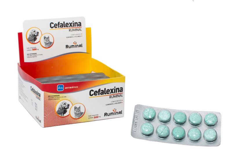 CEFALEXINA 500 mg