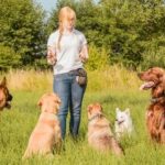 Cómo elegir el adiestrador adecuado para tu cachorro