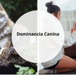 Dominancia Canina