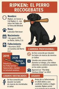 Ripken: El Perro Recogebates